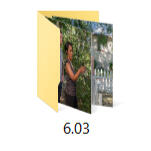 Icon of an image folder titled 6.03