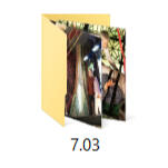 7.03 Icon of an image folder titled 7.03