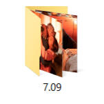 7.09 Icon of an image folder titled 7.09