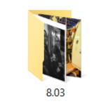 8.03 Icon of an image folder titled 8.03