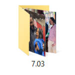 7.03 Icon of an image folder titled 7.03