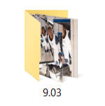 9.03 Icon of an image folder titled 9.03