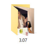 3.07 Icon of an image folder titled 3.07